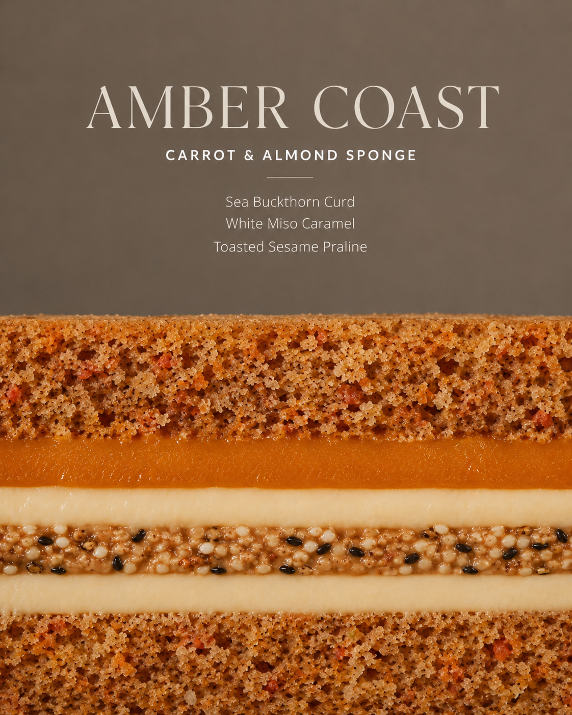 Amber Coast