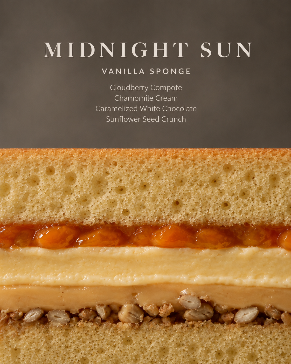 Midnight Sun